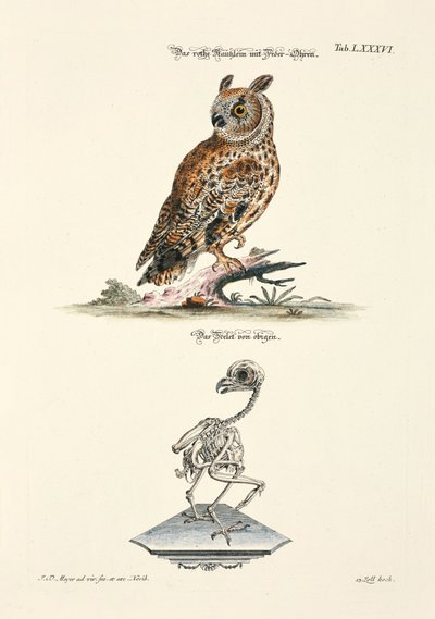  door Johann Daniel Meyer