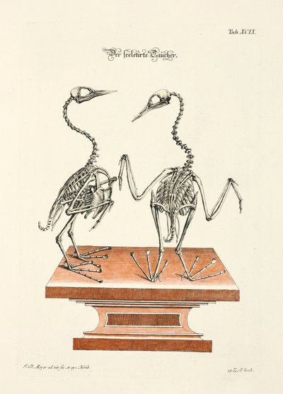  door Johann Daniel Meyer