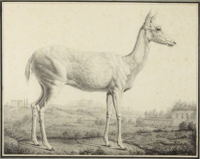  door Johann Elias Ridinger