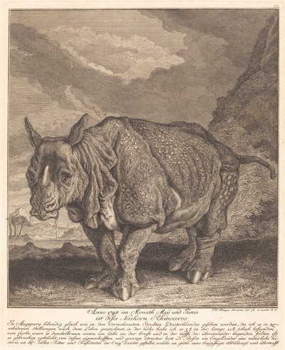 Neushoorn door Johann Elias Ridinger