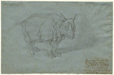De neushoorn Miss Clara door Johann Elias Ridinger