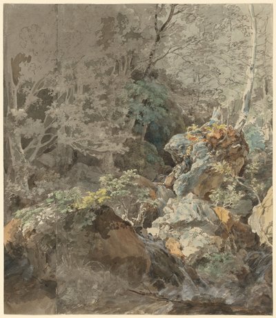 Watervallen in een bergbos door Johann Georg von Dillis