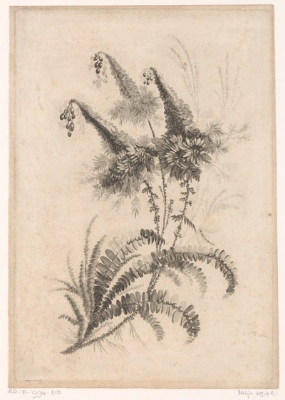 Puntige bloemen (Recueil De Nouvelles Fleurs De Goût; Pour la Manufacture des Etoffes de Perse) door Johann Heinrich  Hess