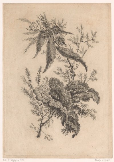 Wilde roosachtigen (Recueil De Nouvelles Fleurs De Goût; Pour la Manufacture des Etoffes de Perse) door Johann Heinrich  Hess