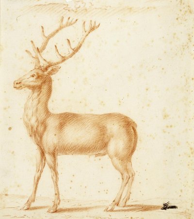 Een adelaar door Johann Heinrich Roos