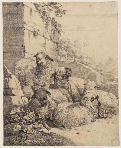 Vier liggende en één staand schaap voor een muur, blad uit de serie “Schapen en geiten” door Johann Heinrich Roos