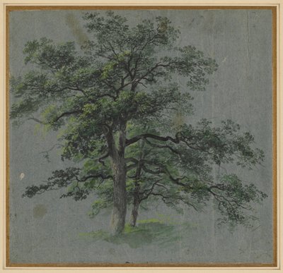 Twee bomen, eerste helft 1800 door Johann Jacob Dorner