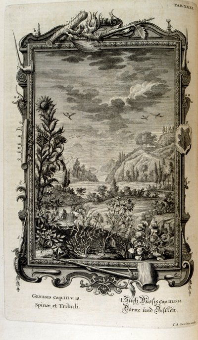 Kopergravure uit 