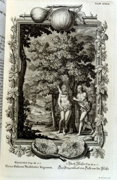 Kopergravure uit 
