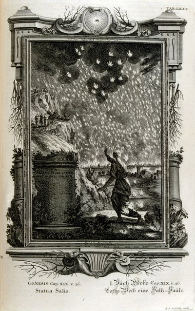 Lots vrouw verandert in een zoutpilaar door Johann Jakob Scheuchzer