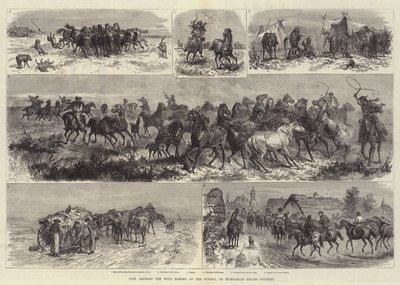 Leven tussen de wilde paarden van de Puszta, of Hongaarse heide door Johann Nepomuk Schonberg