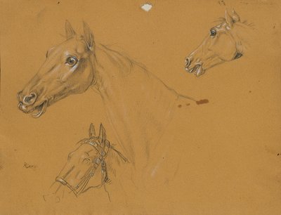 Paardenstudie voor 