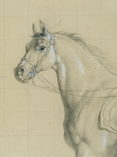 Paardenstudie voor 
