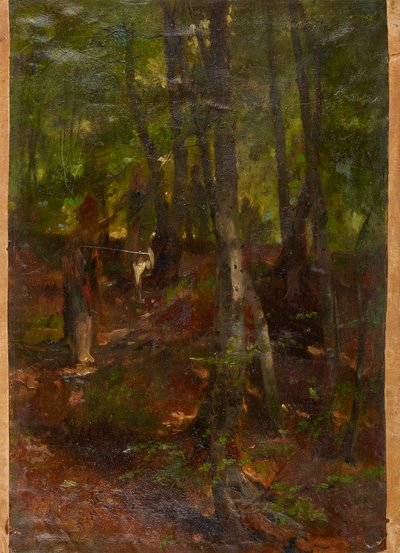 Boslandschap door Johann  Till der Jüngere