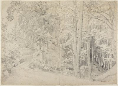 In het beukenbos door Johann Wilhelm Schirmer