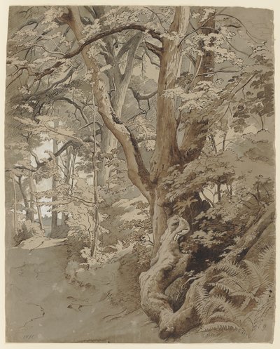  door Johann Wilhelm Schirmer