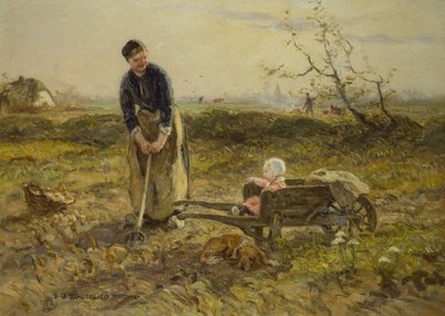 In de velden met Katia door Johann Zoetelief Tromp