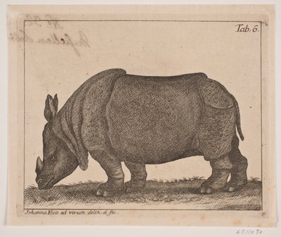 Een neushoorn door Johanna Fosie