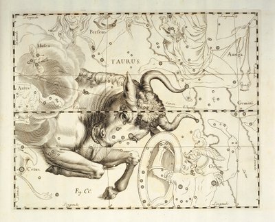 Stier, sterrenbeeld Stier, gravure uit hemels atlas Firmamentum Sobiescianum sive Uronographia, door Johann Hevelius (1611-1687), Gdansk door Johannes Hevelius