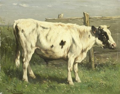  door Johannes Hubertus Leonardus de Haas