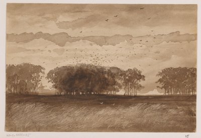 Roekenkolonie in Noord-Brabant door Johannes Tavenraat (signed by artist)