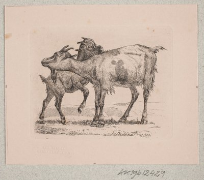 Een geit met haar jong door Johannes Wilhelm Zillen