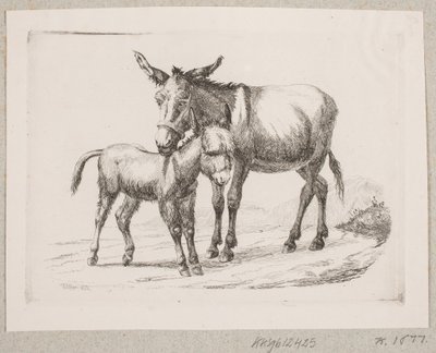 Een ezel met zijn veulen door Johannes Wilhelm Zillen