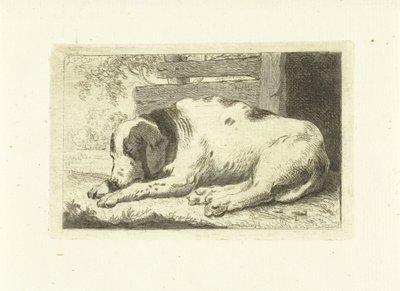 Slapende hond door Johannes van Cuylenburgh