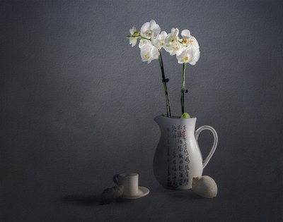 Elegant stilleven met orchideeën door John-Mei Zhong