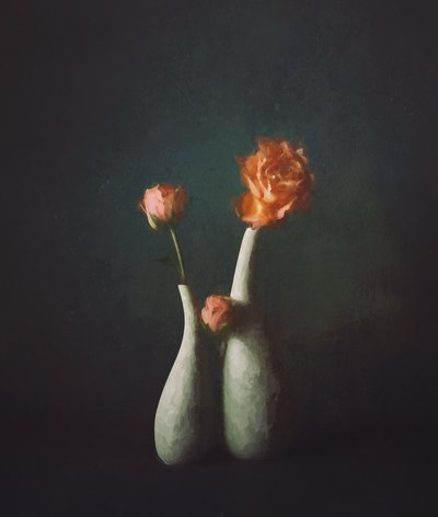 Moody Rose-vazen door John-Mei Zhong