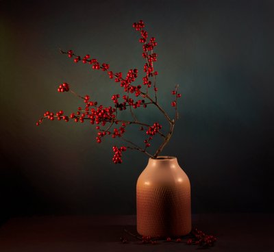 Winterbessenpresentatie door John-Mei Zhong