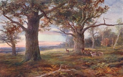 Aan de rand van Sherwood Forest door John (after) MacWhirter