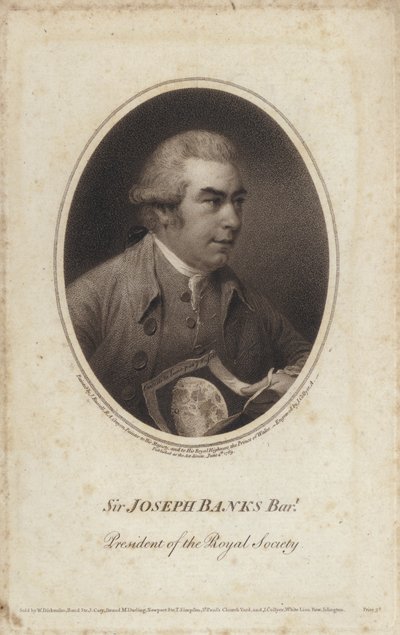 Sir Joseph Banks, Engelse natuuronderzoeker, botanicus en voorzitter van de Royal Society door John (after) Russell