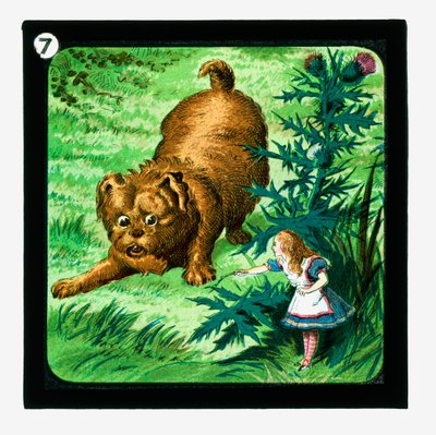 Alice in Wonderland, Gekleurde Lantaarnplaten door John (after) Tenniel