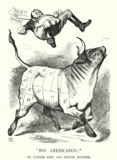 Punch cartoon: Bos Americanus; of, Yankee Beef en Britse Slager - verwachte voordelen voor consumenten van de import van Amerikaans vlees (gravure) door John (after) Tenniel