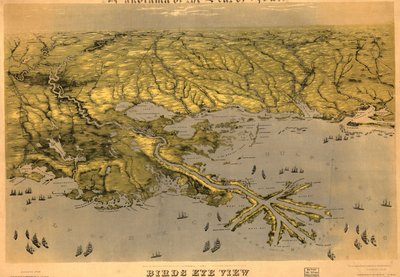 Vogelvlucht van Louisiana, Mississippi, Alabama en een deel van Florida LOC 99447004 door John Bachmann