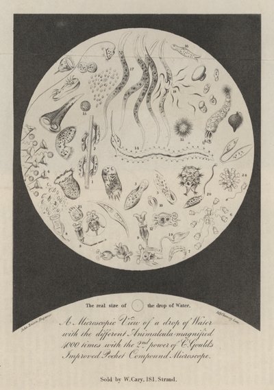 Een microscopisch zicht op een druppel water door John Bacon