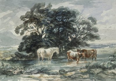 Landschap, twee koeien en een paard in het water, (schets) door John Barker