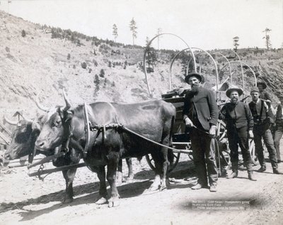 Goudkoorts in South Dakota door John C. H. Grabill