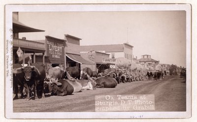 Ossenwagens in Sturgis, D.T., pub.1887 - 1892 (foto) door John C. H. Grabill