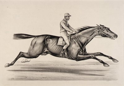 Keizer van Norfolk door John Cameron