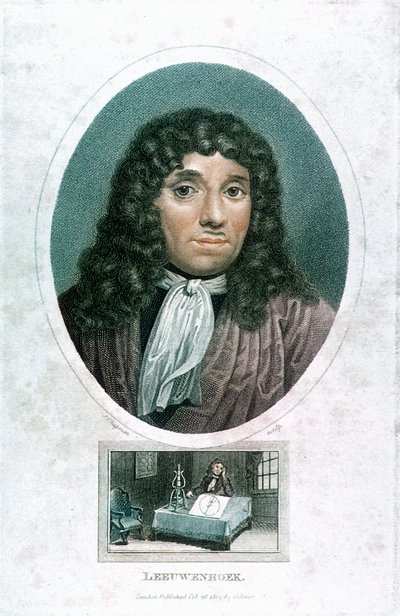 Anton van Leeuwenhoek 1632-1723, Nederlandse microscopist, c1810 door John Chapman
