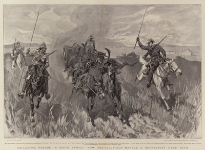 Voer verzamelen in Zuid-Afrika, hoe de kolonialen een weerspannig muilezelteam beheren door John Charlton