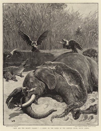 Hoe zijn de machtigen gevallen!, een Scène aan de Oevers van de Limpopo Rivier, Zuid-Afrika door John Charlton