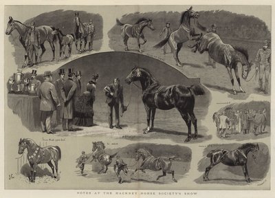 Aantekeningen bij de Hackney Horse Society