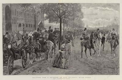 Wachten op een glimp van Hare Majesteit, Hyde Park door John Charlton