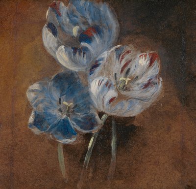Studie van Drie Papegaaitulpen door John Constable