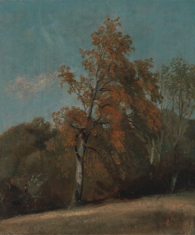 Studie van een es, tussen 1801 en 1803 of tussen 1810 en 1830 door John Constable