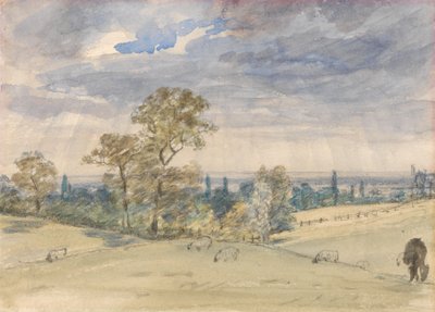 Landschap van Suffolk door John Constable