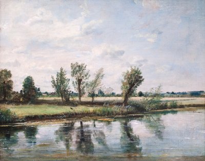 Waterweiden bij Salisbury door John Constable